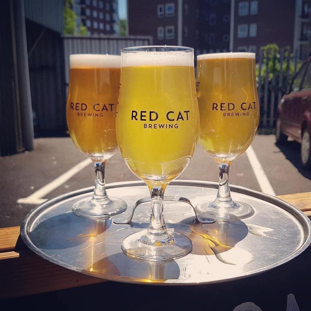 Red Cat Brewing lifestyle logo