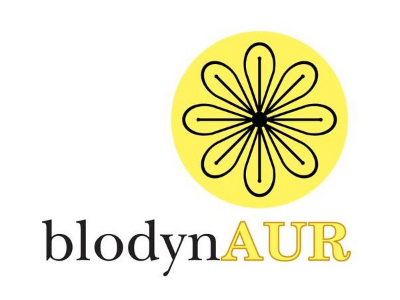Blodyn Aur brand logo