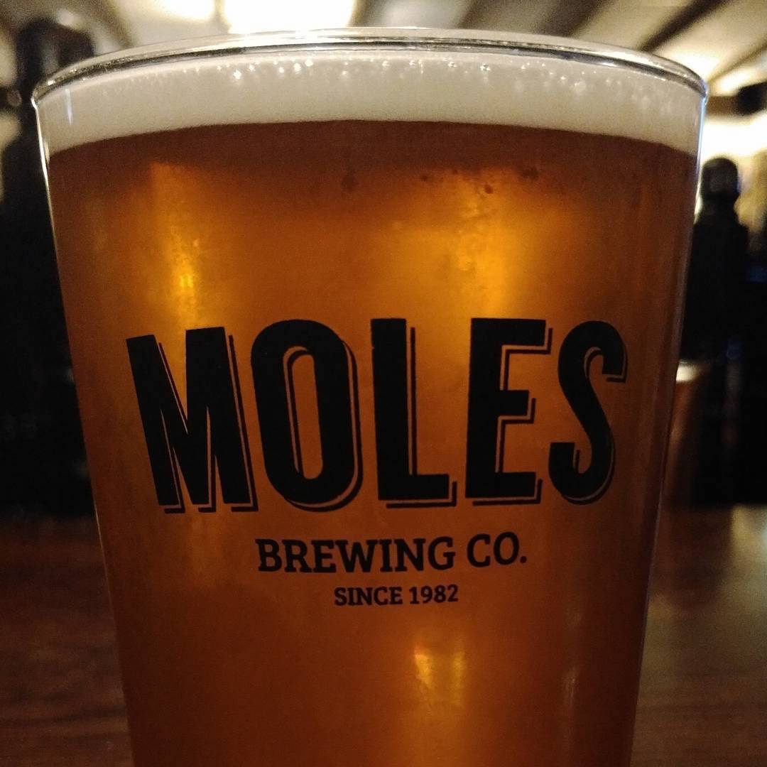 Moles Brewery lifestyle logo