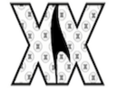 XX Cricket brand logo