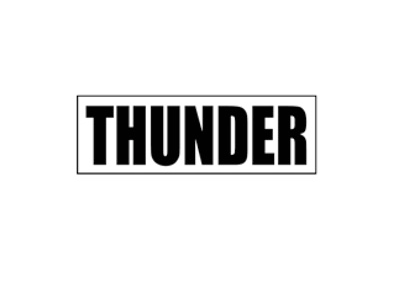 Thunder brand logo