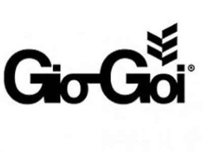 Gio-Goi brand logo