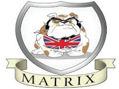 Matrix brand logo
