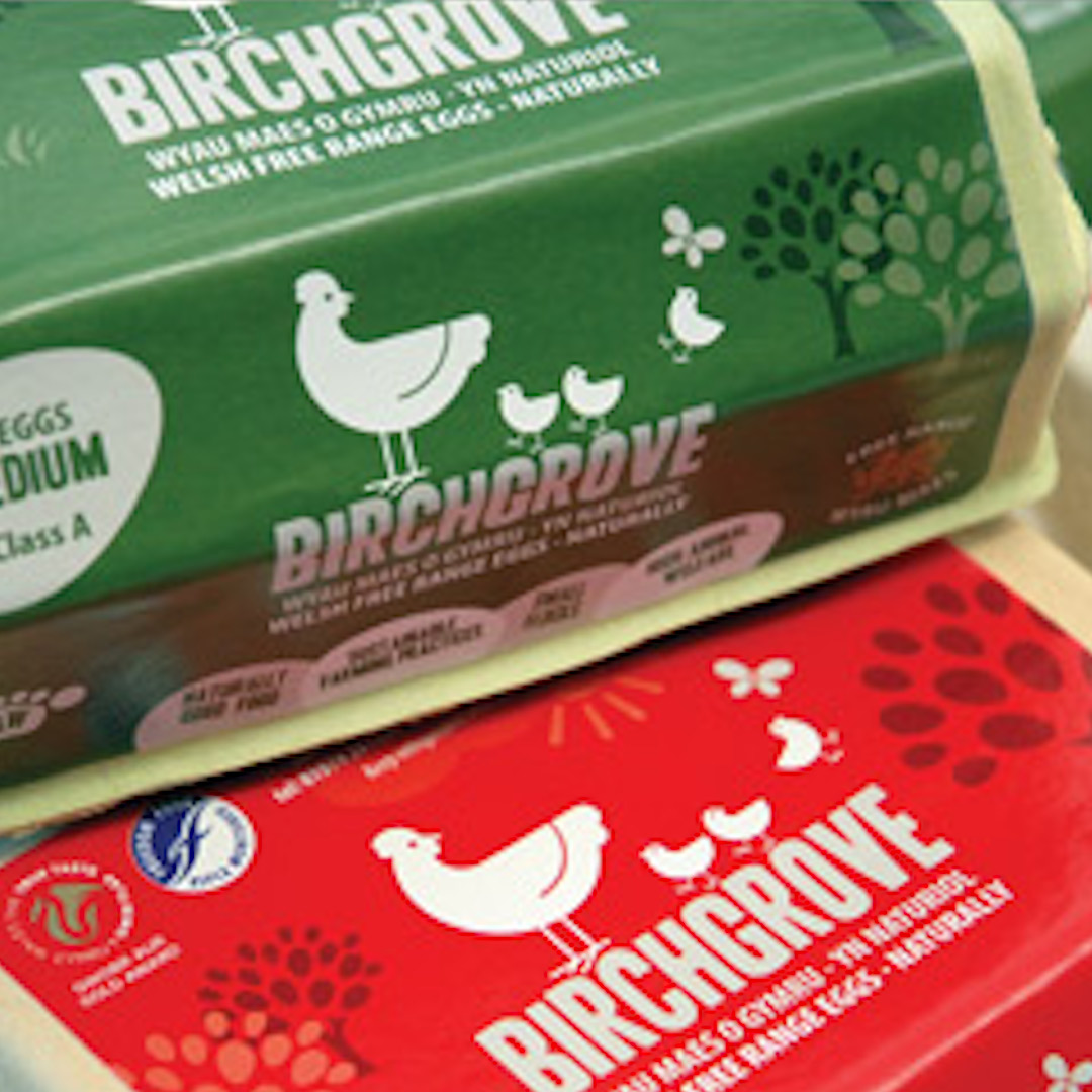 Birchgrove Eggs lifestyle logo
