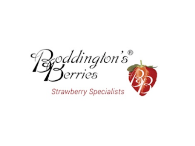 Boddington's Berries brand logo