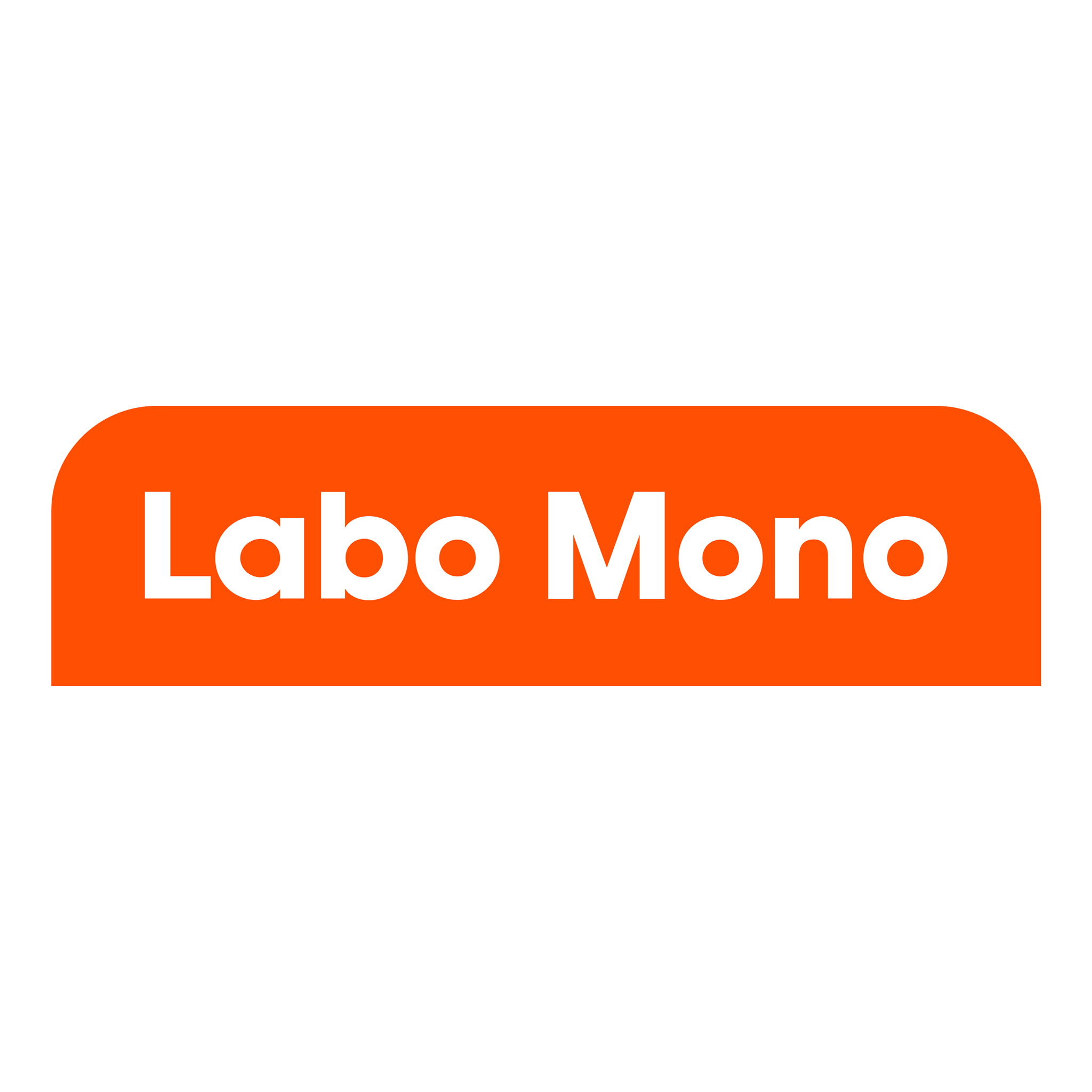 Labo Mono brand logo