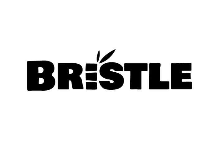 Bristle brand logo