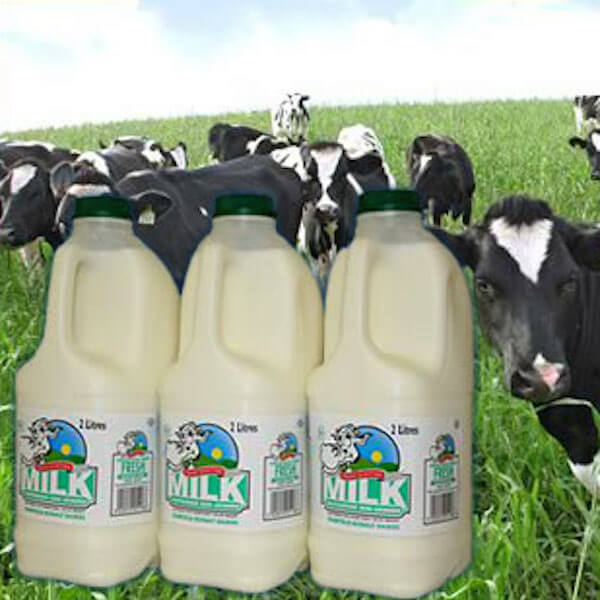 Bonaly Farm Dairy lifestyle logo