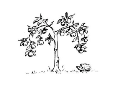 Pippins Farm Orchards brand logo