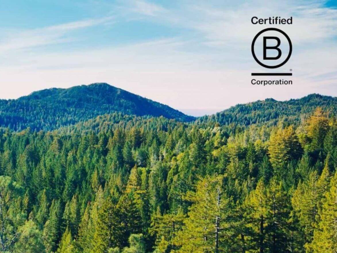 British B-Corp Brands - Certified B Corporations are businesses that meet the highest social and environmental criteria and are transparent and accountable for everything within the business