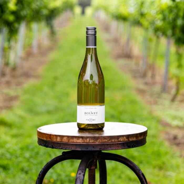 Image of Pinot Gris 2020 by Bolney Estate, designed, produced or made in the UK. Buying this product supports a UK business, jobs and the local community.