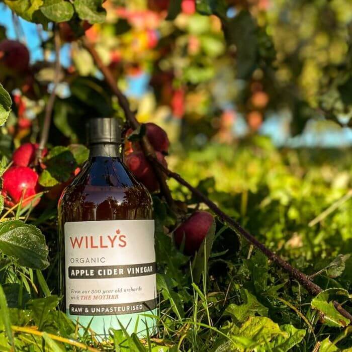 A glimpse of diverse products by Willy's, supporting the UK economy on YouK.