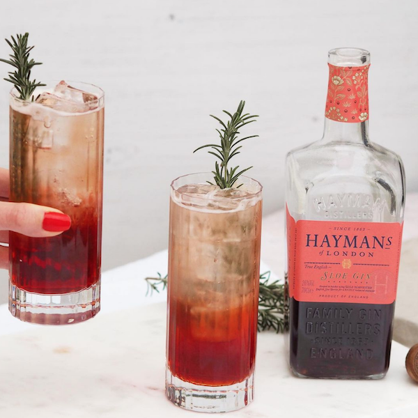 Image of Hayman's Sloe Gin made in the UK by Hayman's of London. Buying this product supports a UK business, jobs and the local community