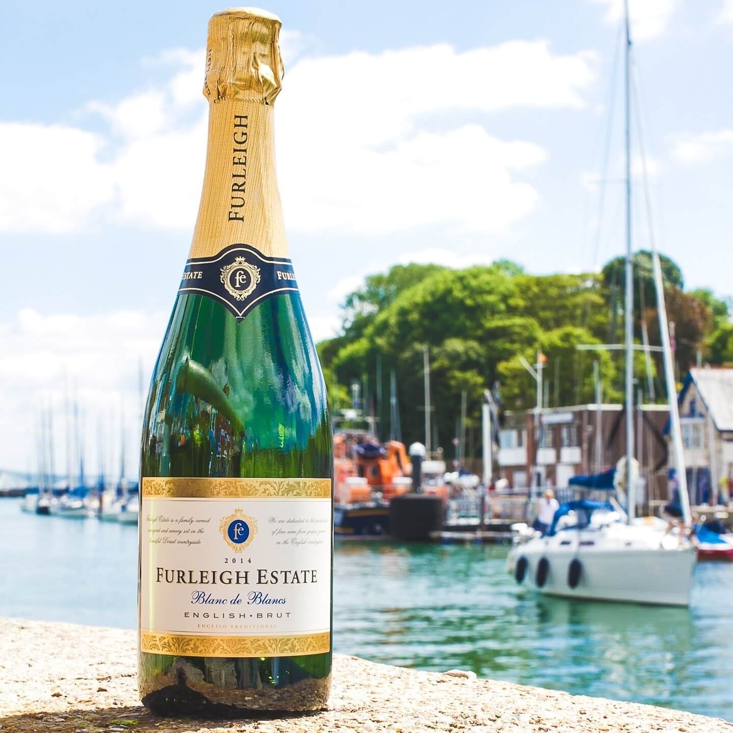 Image of Blanc de Blancs 2016 by Furleigh Estate, designed, produced or made in the UK. Buying this product supports a UK business, jobs and the local community.