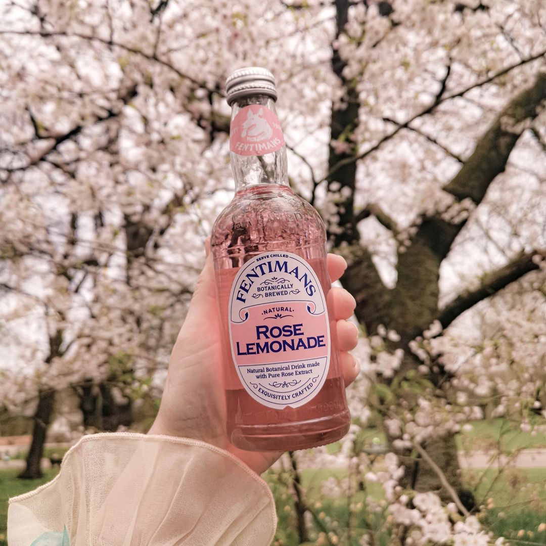 Image of Rose Lemonade by Fentimans, designed, produced or made in the UK. Buying this product supports a UK business, jobs and the local community.