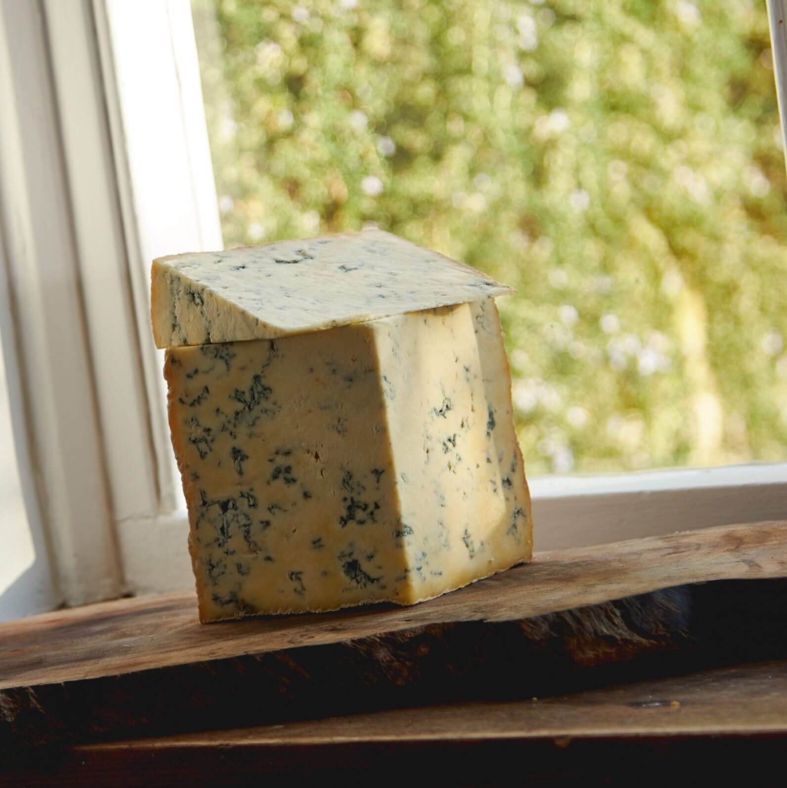 Image of Bath Blue Cheese made in the UK by The Bath Soft Cheese Co.. Buying this product supports a UK business, jobs and the local community