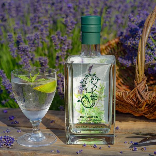 Image of  by Gordon Castle Gin, designed, produced or made in the UK. Buying this product supports a UK business, jobs and the local community.